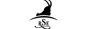 rse leathers